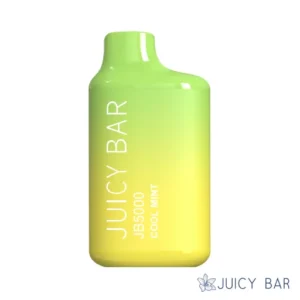 Buy Cool Mint Juicy Bar JB5000 | USA