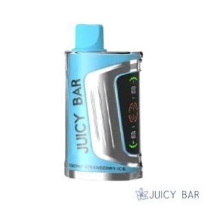 Buy Blueberry Strawberry Ice Juicy Bar 25000 Puffs | USA