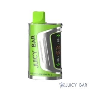 Buy Watermelon Kiwi Ice Juicy Bar 25000 Puffs | USA