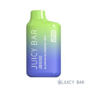 Buy Alaskan Blueberry Mint Juicy Bar JB5000 | USA