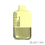 Pineapple Mint – Juicy Bar JB7500 Pro Edition