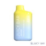 Pineapple Coconut Ice – Juicy Bar JB5000