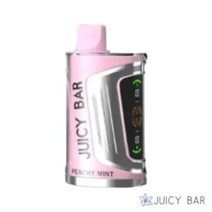 Buy Peachy Mint Juicy Bar | 25000 Puffs | USA