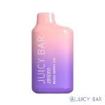 Mixed Berry Ice – Juicy Bar JB5000