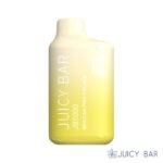 Mexican Pina colada – Juicy Bar JB5000