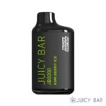 Kiwi Berry Ice – Juicy Bar JB5000 Black Edition