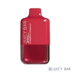 Buy Strawberry Watermelon Juicy Bar JB7500 Pro Edition | USA