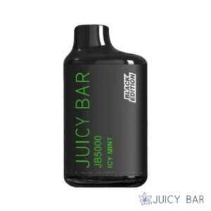 Buy Icy Mint Juicy Bar JB5000 Black Edition | USA