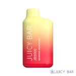 Georgia Peach Ice – Juicy Bar JB5000