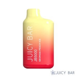 Buy Georgia Peach Ice Juicy Bar JB5000 | USA