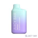 Blueberry Raspberry – Juicy Bar JB5000