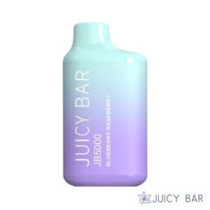 Buy Blueberry Raspberry Juicy Bar JB5000 | USA