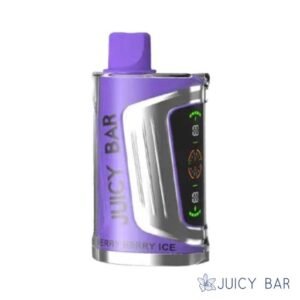 Buy Berry Berry Ice Juicy Bar 25000 Puffs | USA
