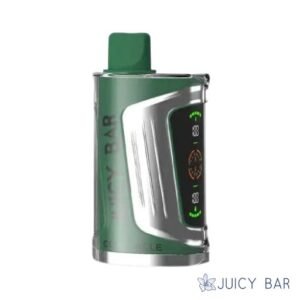 Buy Double Mint Juicy Bar 25000 Puffs | USA