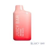 Red Mojito – Juicy Bar JB5000
