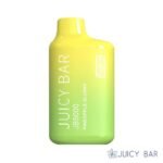 Pineapple Slushy – Juicy Bar JB5000