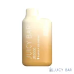 Vanilla Ice Cream – Juicy Bar JB5000
