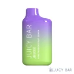 Kiwi Passion Fruit Guava – Juicy Bar JB5000